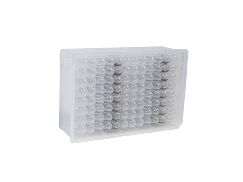 Stool DNA and RNA Extraction Kit