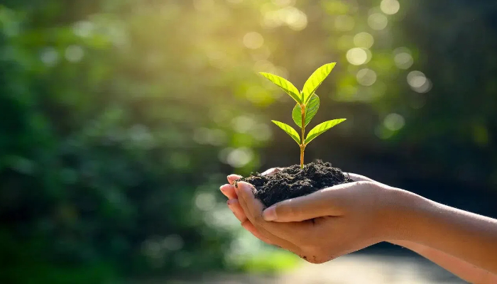 environmentalday_d-1749048095207_d-695.jpg